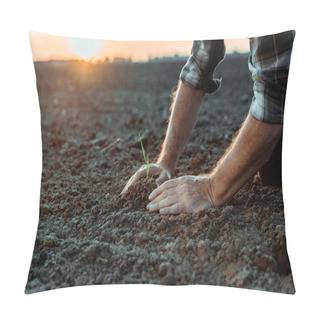 Personality  Selective Focus Of Senior Self-employed Farmer Near Small Plant In Ground  Pillow Covers