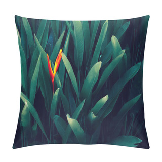 Personality  Tropical Leaves Colorful Flower On Dark Tropical Foliage Nature Background Dark Green Foliage Nature Pillow Covers