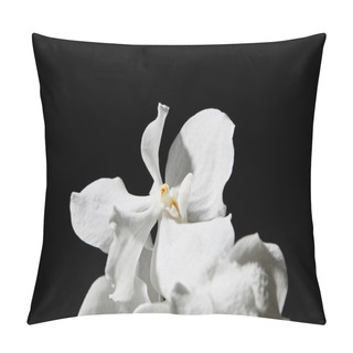 Personality  Close Up View Of White Orchid Flower Isolated On Black Pillow Covers