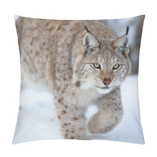 Personality  Close Up Of A Lynx Sneaking Pillow Covers