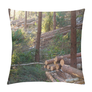 Personality  Lumber Stacks Pillow Covers