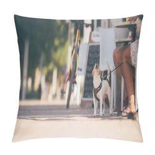Personality  In Vacation With Dog Concept - Barking (woof) Little White Dog Next To Owners Sitting In The Bar - Warm Summer Or Autumn Image With Copy Space Pillow Covers