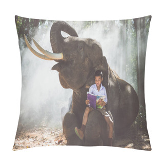 Personality School Boy Playing In The Jungle With His Friend Elephant Pillow Covers