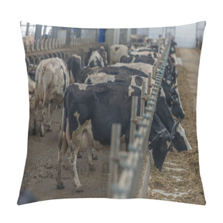 Personality  Modern Cowshed, For The Cultivation Of Dairy Breeds Of Cows Pillow Covers