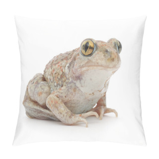 Personality  Frog On White Pillow Covers