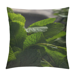 Personality  Close Up View Of Fresh Aromatic Peppermint Leaves Pillow Covers