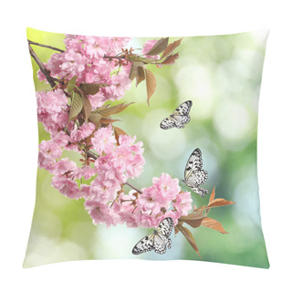 Personality  Beautiful Sakura Tree Branch With Delicate Pink Flowers And Flying Butterflies Outdoors  Pillow Covers
