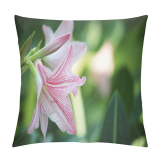 Personality  Beautiful Lily Flowers Prepared To Bloom In The Flower Garden. Pillow Covers