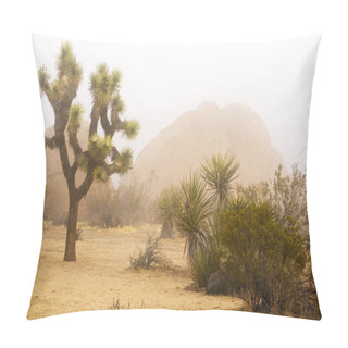 Personality  Foggy Spring Day At Joshua Tree National Park Pillow Covers