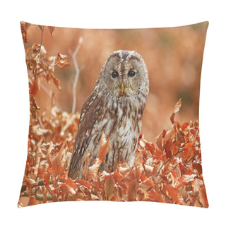Personality  Tawny Owl Sitting On The Stone N Forest. Clear Green Background. Beautiful Animal In The Nature. Bird In The Sweden Forest. Wildlife Scene From Dark Spruce Tree. Mystic Bird In Habitat. Pillow Covers