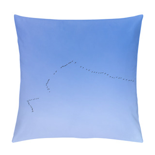Personality  Migratory Birds  Pillow Covers