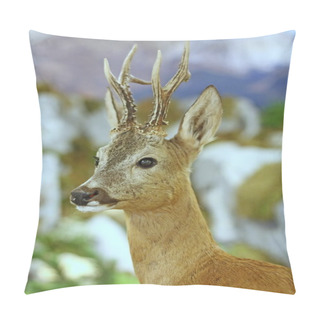 Personality  Deer Wild Animals Of The Forest Pillow Covers