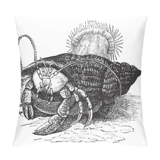 Personality  Hermit Crab Dragging Sea Anemones, Vintage Engraving. Pillow Covers