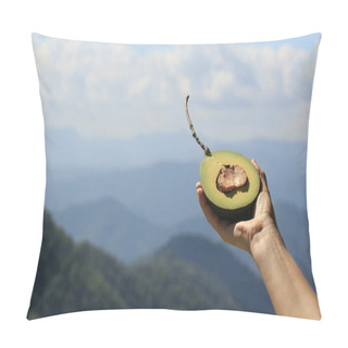 Personality  Hand Holding Avocado Half Against Mountain Landscape Pillow Covers