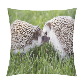 Personality  Two Hedgehogs Outside Pillow Covers