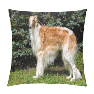 Personality  Borzoi Russian Brown. Pillow Covers