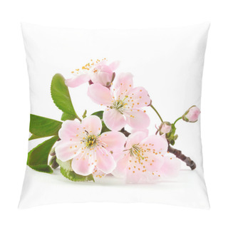 Personality  Cherry Twig In Bloom Isolated Pillow Covers
