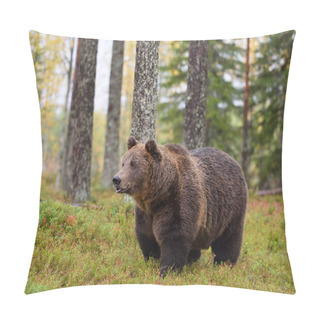 Personality  Brown Bear In The Autumn Forest Pillow Covers
