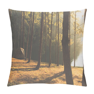 Personality  Pang Tong Under Royal Forest Park Pillow Covers