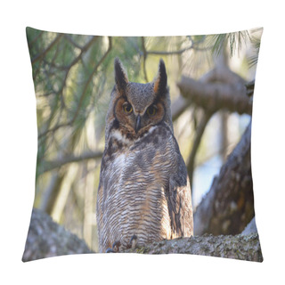 Personality  Great Horned Owl Perched In A Tree  Pillow Covers