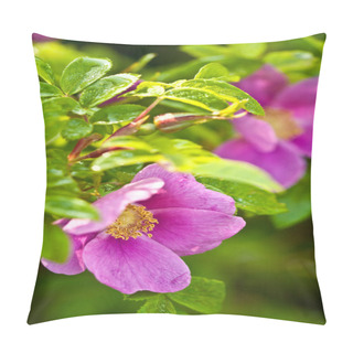 Personality  Wild Dog Rose Macro Pillow Covers