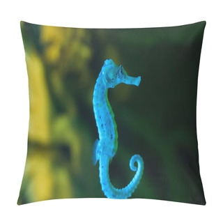 Personality  Ocean Wildlife - Hippocampus Pillow Covers