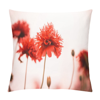 Personality  Red Summer Flowers Pillow Covers