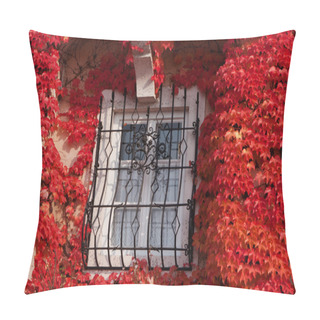 Personality  Window With Red Vine Plant Pillow Covers