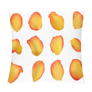 Personality  Multicolored Rose Petals Pillow Covers