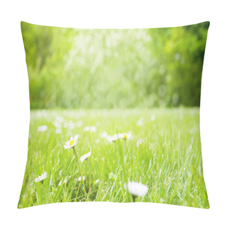 Personality  Sunny Spring Grass Meadow With Daisy Flowers Pillow Covers