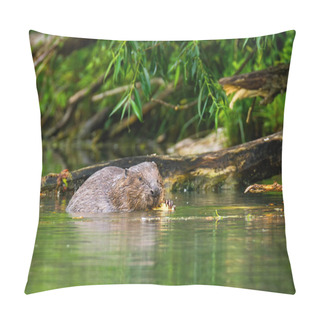 Personality  Eurasian Beaver Eating And Nibbling Wood In The River Pillow Covers