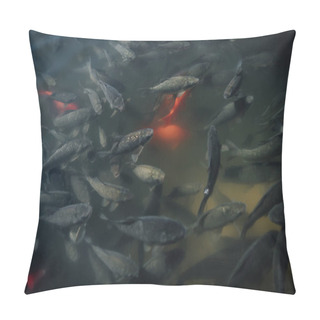 Personality  Elevated View Of Large Flock Of Red And Black Carps Swimming In Water  Pillow Covers