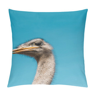 Personality  Portrait Of Beautiful Ostrich Against Blue Sky Pillow Covers