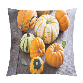 Personality  Pumpkins And Variety Of Squash Pillow Covers