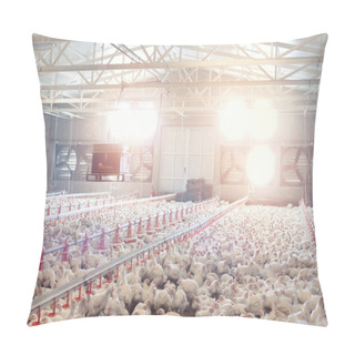 Personality  Poultry Farm With Chicken. Husbandry, Housing Business For The Purpose Of Farming Meat, White Chicken Farming Feed In Indoor Housing. Pillow Covers