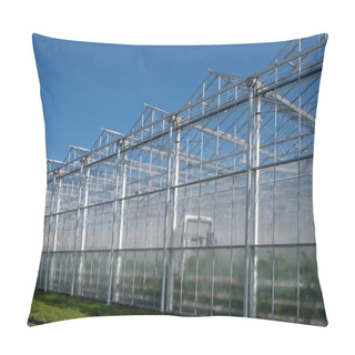 Personality  All Seasons Fresh Vegetables, Fruits And Flowers, Agriculture In Netherlands, Big Modern Greeenhouses In Westland, Exterior View Pillow Covers
