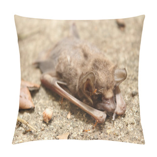 Personality  Dead Bat Pillow Covers