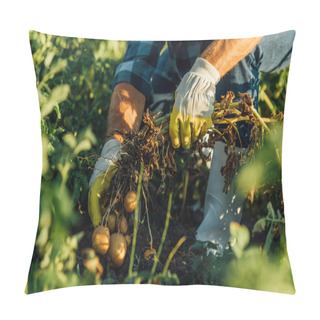 Personality  Cropped View Of Farmer In Gloves Harvesting Potato In Field, Selective Focus Pillow Covers