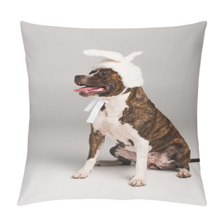 Personality  Purebred Staffordshire Bull Terrier In White Headband With Bunny Ears Sitting On Grey  Pillow Covers