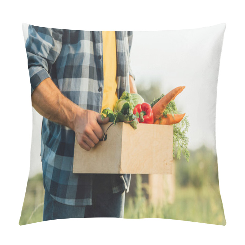 Personality  partial view of farmer in plaid shirt holding box with ripe vegetables  pillow covers