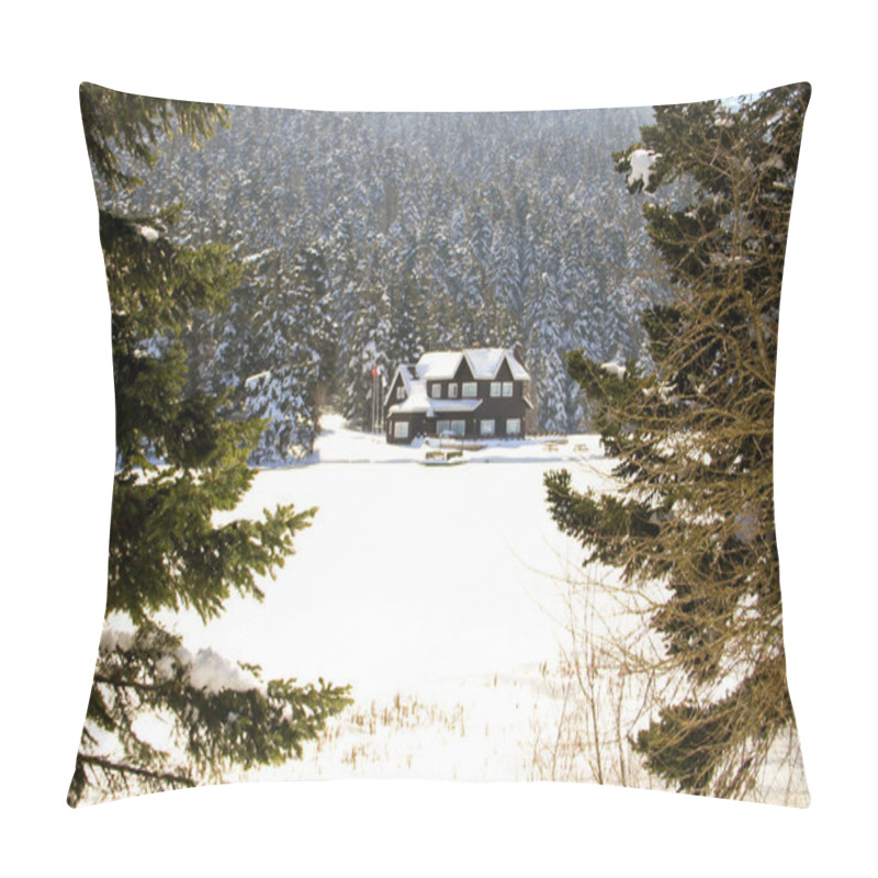 Personality  A Mountainous Nature Park With A Lake, Forests, Hiking Trails And Picnic Areas. Pillow Covers