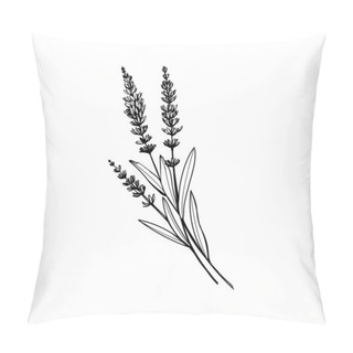 Personality  Lavender Black And White Vector Sketch. Fragrant French Wildflower With Title. Violet Summer Honey Plant Sketched Outline. Blooming Aromatic Provence Wild Flower Engraving. Aromatherapy Scent Pillow Covers