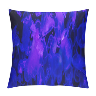 Personality  Jellyfishes Swimming Under Water In Aquarium With Blue Lighting Pillow Covers