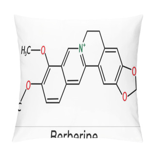 Personality  Berberine C20H18NO4, Herbal Alkaloid Molecule. Skeletal Chemical Formula.  Pillow Covers