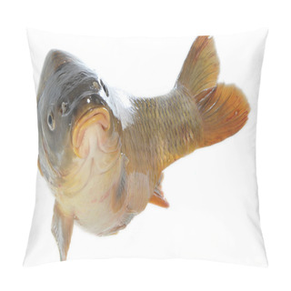 Personality  Carp In Jump Pillow Covers