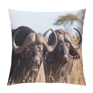 Personality  Buffalo Pair Pillow Covers