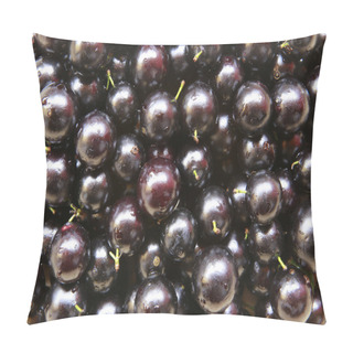 Personality  Jaboticaba, Brazilian Fruit Pillow Covers