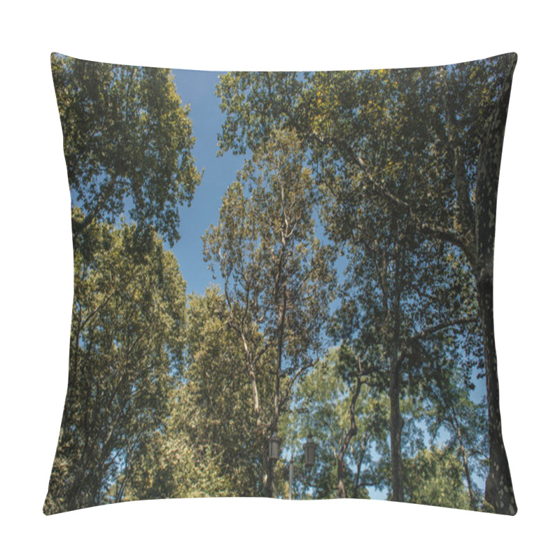 Personality  Low angle view of trees and lantern with blue sky at background  pillow covers