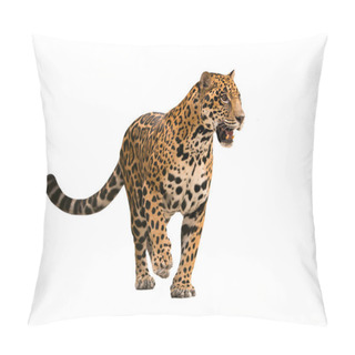 Personality  Jaguar ( Panthera Onca ) Isolated Pillow Covers