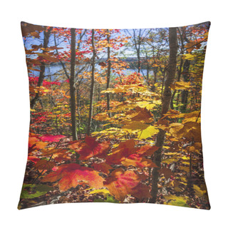Personality  Autumn Splendor Pillow Covers